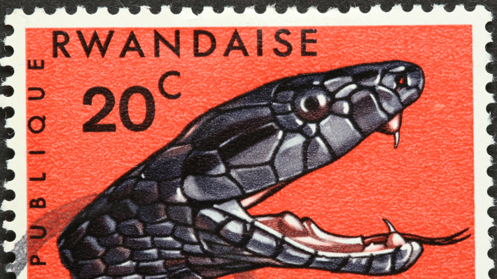 Mentalidade Black Mamba #30