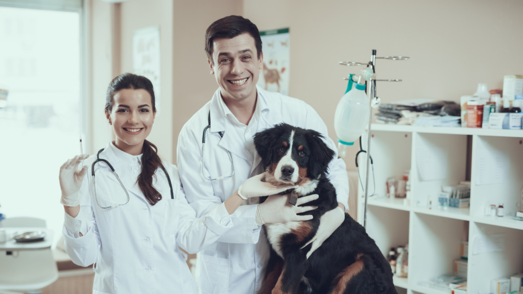 Veterinária - Sobre Nós (4)